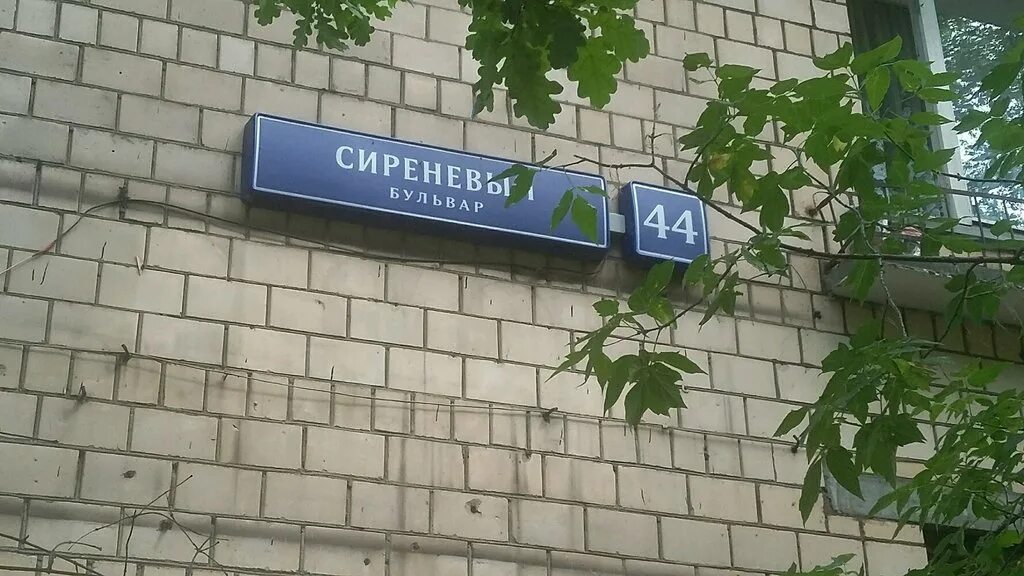 Купить туфли Весной 2016 Корейский бин обувь asakuchi женщин с плоским дном плос