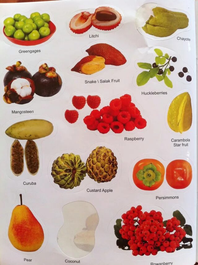Экзотические фрукты названия. Экзотические фрукты и овощи с названиями. Экзотические фрукты их наз. Эгзотическиефрукты и их название. Название экзотических фруктов с картинками