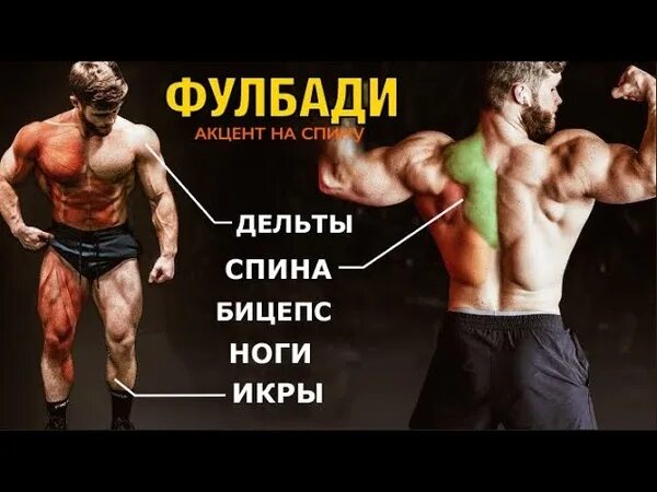 программа тренировок фулбади для мужчин. план тренировок для зала для мужчин. программа тренировок в тренажерном зале для мужчин новичков. тренировки в зале для мужчин. примеры 3 тренировок в тренажерном зале для мужчин.