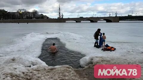 Моржи спб