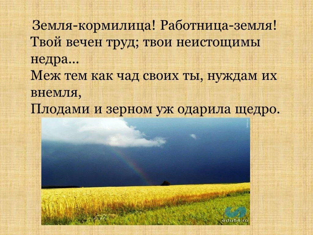 Пословицы о земле кормилице и растениях
