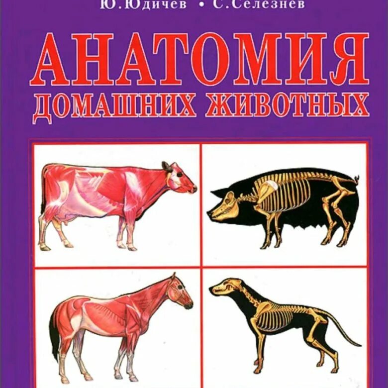 Атлас анатомии животных. Атлас анатомии животных. Анатомия северного оленя акаевский. Атлас анатомии домашних животных. Атлас анатомии домашних животных.