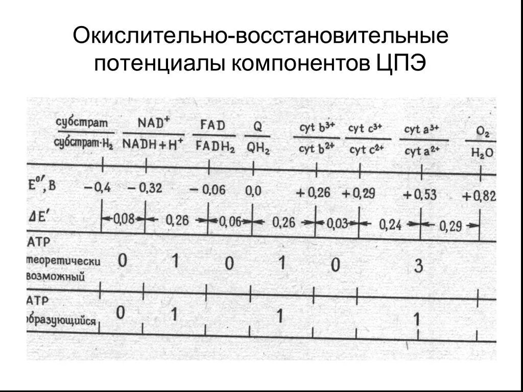 Окислительно восстановительные ферменты. Окислительно-восстановительный потенциалы элементов. Окислительно-восстановительные потенциалы переносчиков. Таблица окислительно-восстановительных потенциалов. Восстановительные потенциалы таблица.