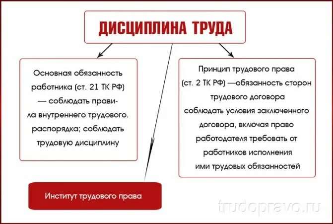 Две любые обязанности работника. Обязанности работника по трудовому кодексу РФ.