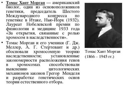 Т морган кратко