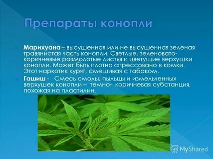 Белое растительного происхождения