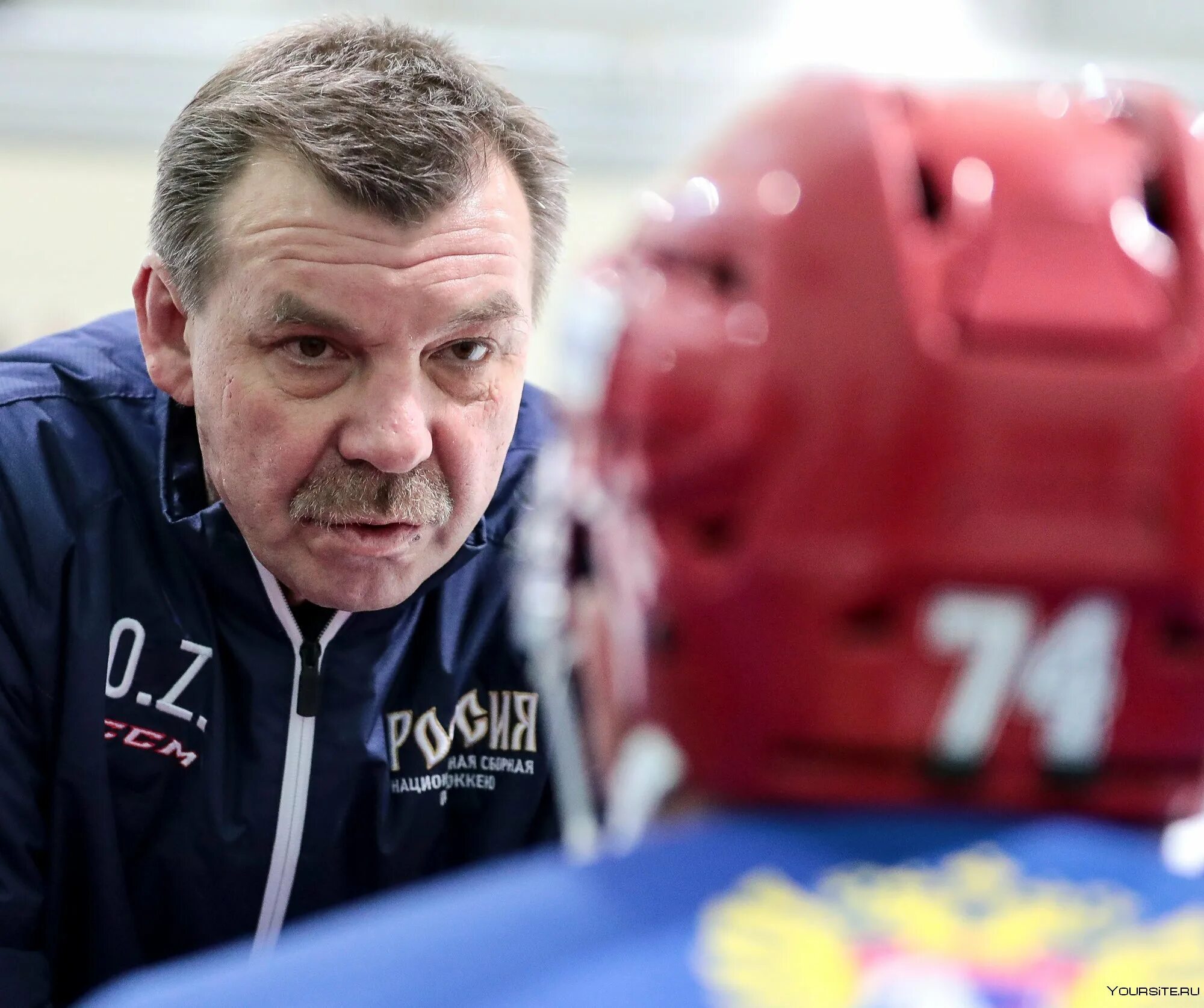 Тренера знарка. Знарок главный тренер авангарда. Тренера знарка. Знарок. Тренера знарка.