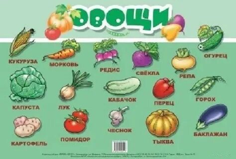Какие овощи срезают с грядки