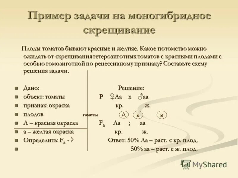 Генетика задачи на моногибридное скрещивание.