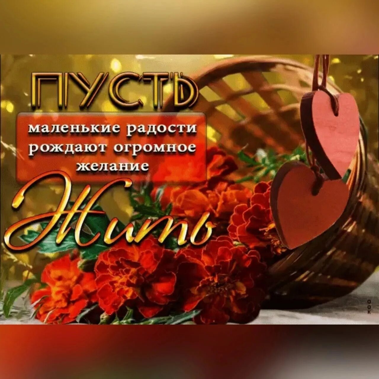 Маленькие радости рождают огромное. Маленькие радости однажды сложатся в большое счастье. Доброе утро с синицами. Мотиваторы позитивные про жизнь. Маленькая радость цитаты.