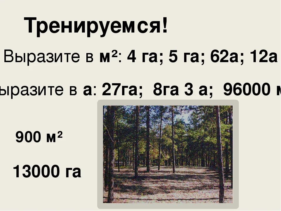 Площадь 1 га. Площадь 1 га в метрах квадратных. 1 Гектар земли. 1 Гектар в метрах квадратных.