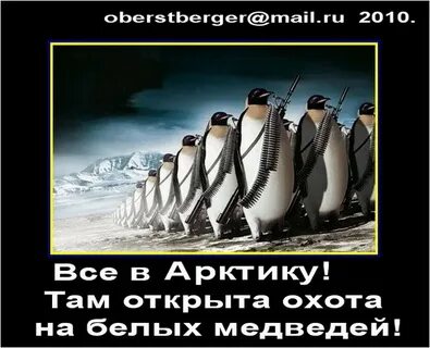 Почему белые медведи не кушают пингвинов