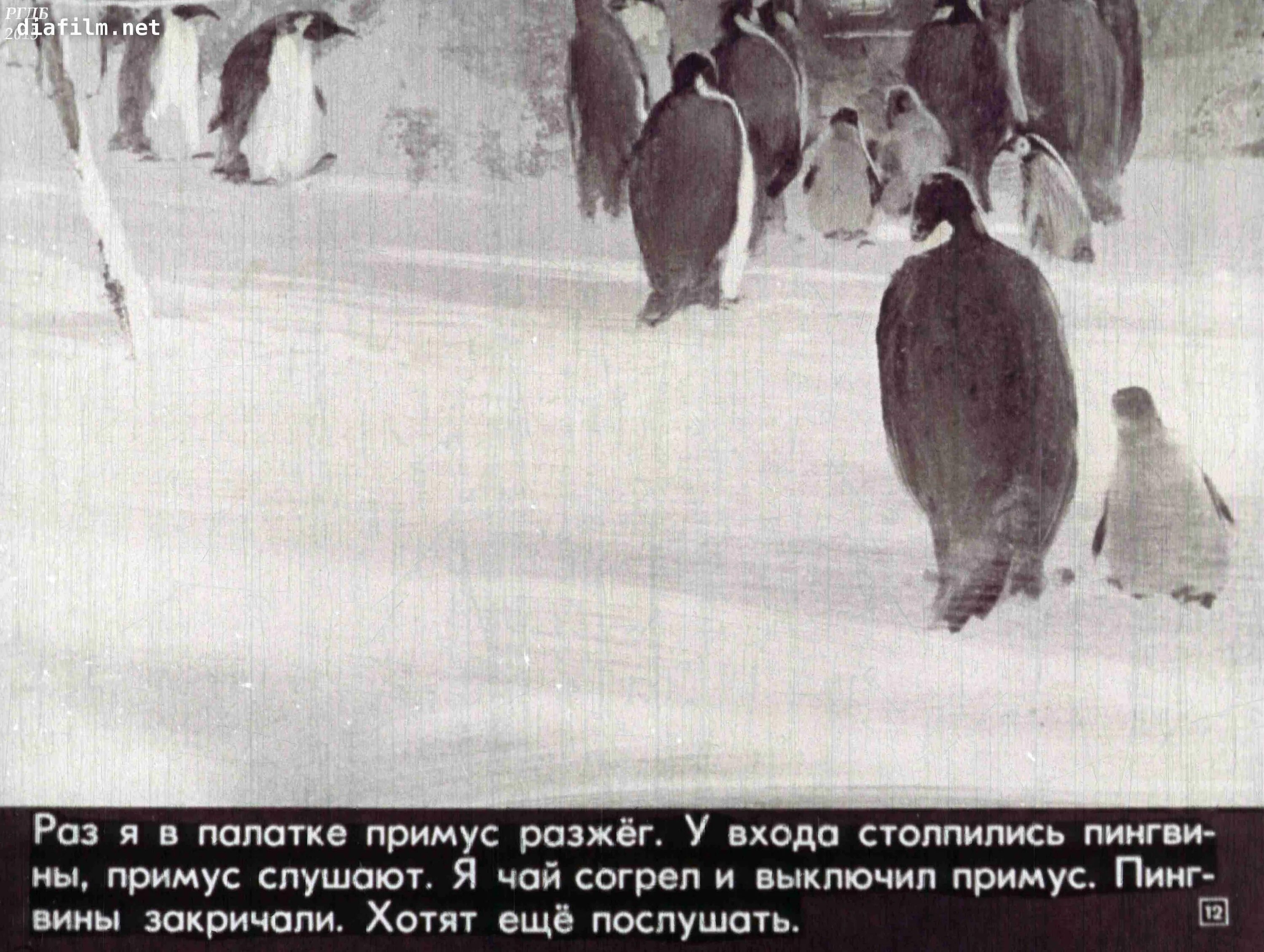 Г. Снегирёв "про пингвинов" 11. Г Снегирева про пингвинов рассказ. Г Снегирев про пингвинов иллюстрации. Текст рассказов Снегирева про пингвинов. Пересказ рассказа г снегирева про пингвинов