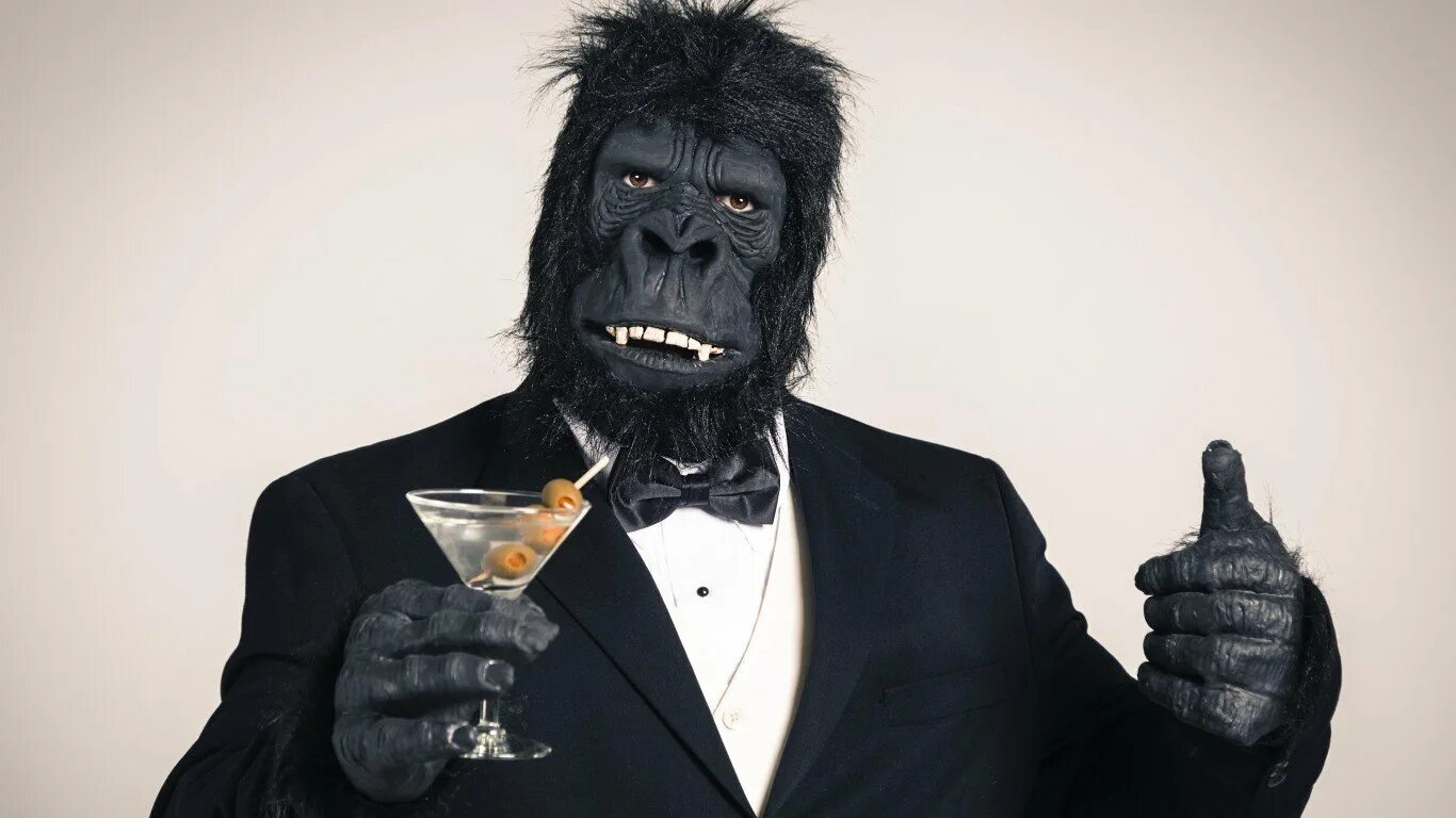 Винни пух мем. Винни пух во фраке. Винни пух джентльмен. Мем в смокинге. Винни мем.