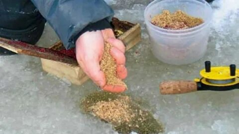 Приманка для рыбы манка