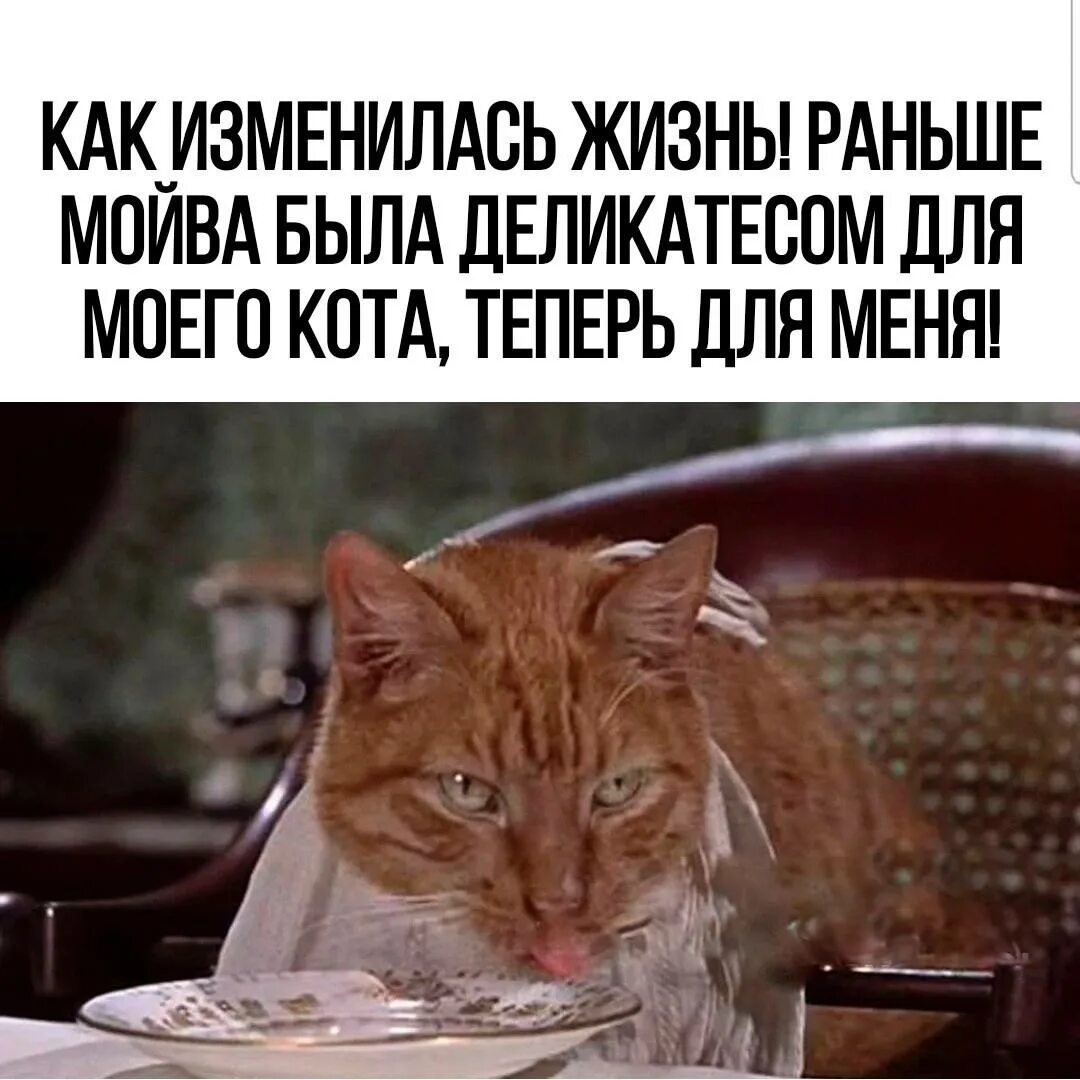 Томасина пол гэллико. Пол гэллико томасина иллюстрации. Три жизни томазины 1963. Эндрю макдьюи томасина. Томасина лори.