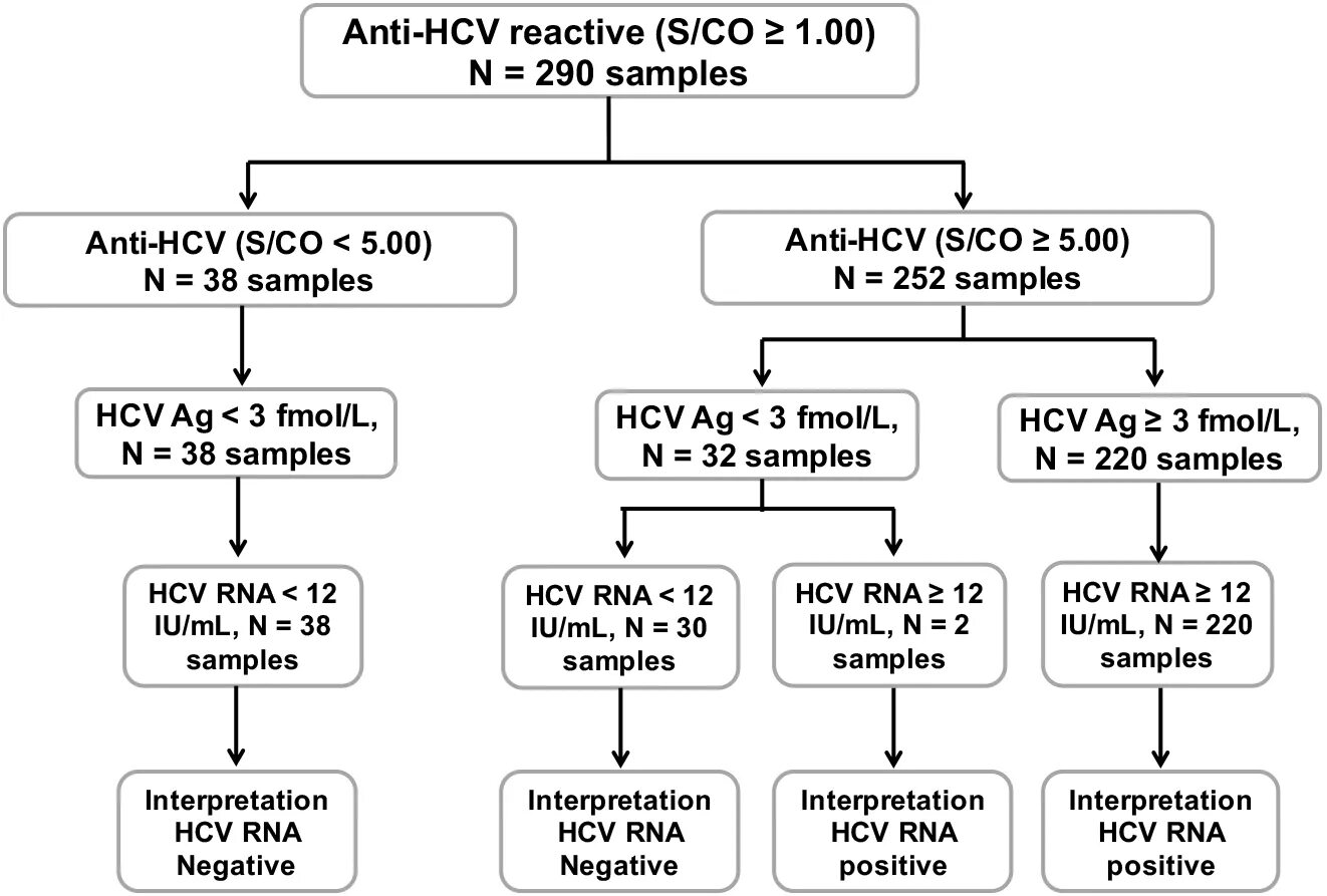 Anti hcv total что это значит. Анти HCV. Анти-HCV положительный. HCV антиген. HCV И анти HCV.