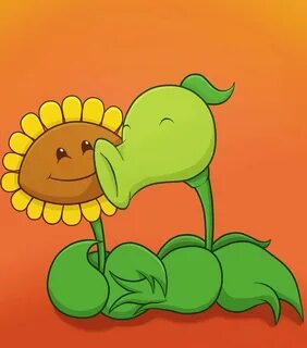 Горох подсолнух