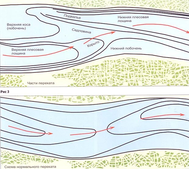 Плесы и перекаты схема. Перекат в русле реки. Схема переката и Плеса на реке. Рельеф дна реки перекат. В течении реки много изгибов