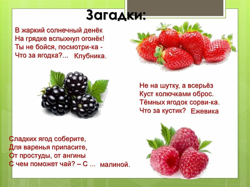 Потом ягодка начнет увеличиваться багроветь затем синеть. Презентация на тему ягоды. Ягоды для презентации. Презентация ягоды для дошкольников. Загадки про ягоды.