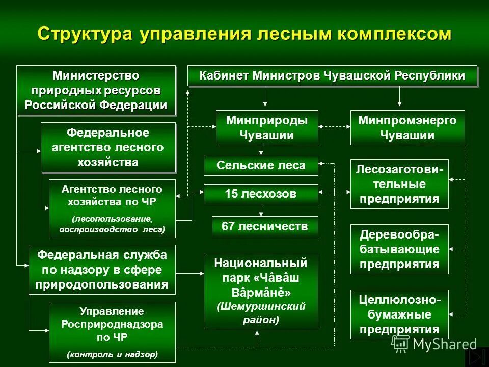 управление лесным хозяйством и природопользования. структура управления лесным хозяйством рф.