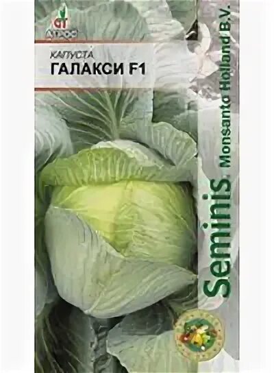 Капуста галакси описание сорта фото отзывы Купить Семена капусты Галакси из Питомника Сады Бахмута