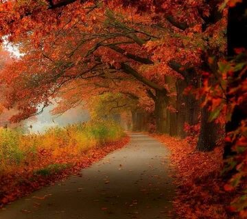 Very autumn