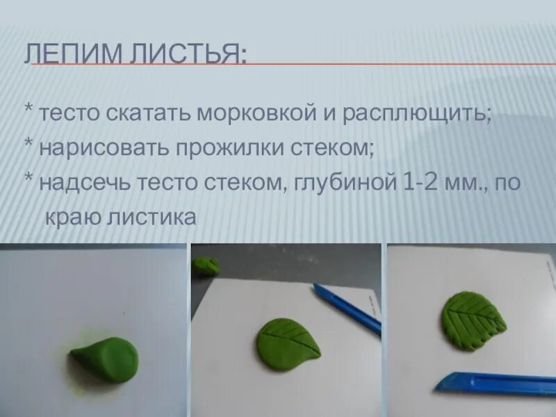 Как слепить тест. Листья из пластилина. листья из соленого теста. лист из пластилина для детей. листочки для лепки.
