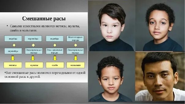 Мулаты определение