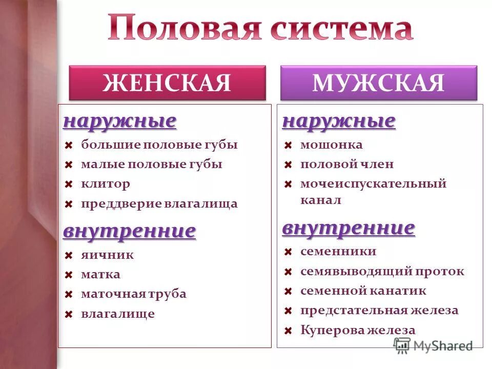 большие малые губы что делать. большие малые губы что делать. большие малые губы что делать. большие малые половые губы. большие малые губы что делать.
