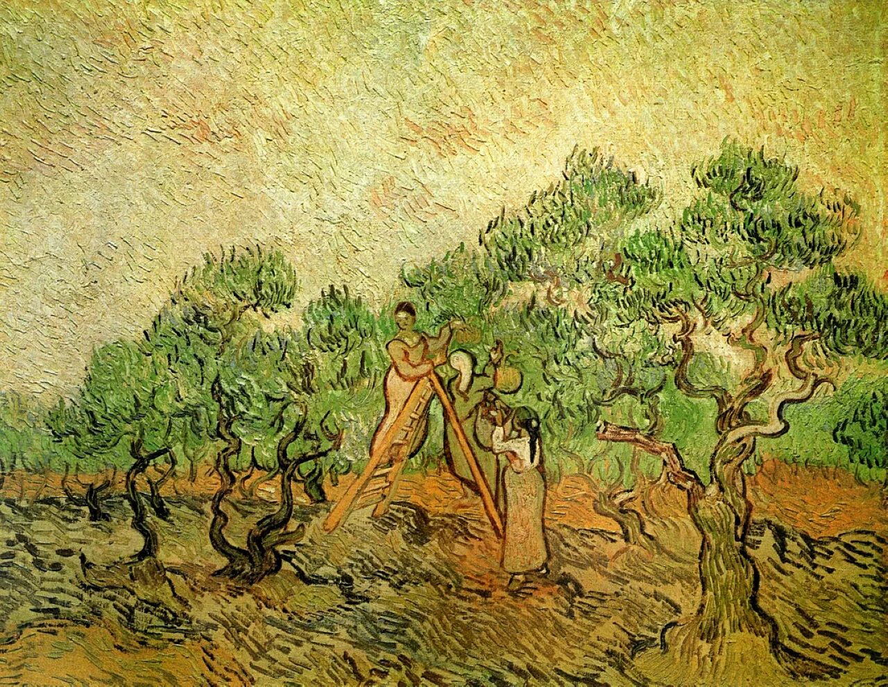 Оливковый сад Ван Гог. Винсент Ван Гог оливковые деревья. Ван Гог оливковая роща 1889. Пейзаж с оливами Ван Гог 1889. Картины 1889