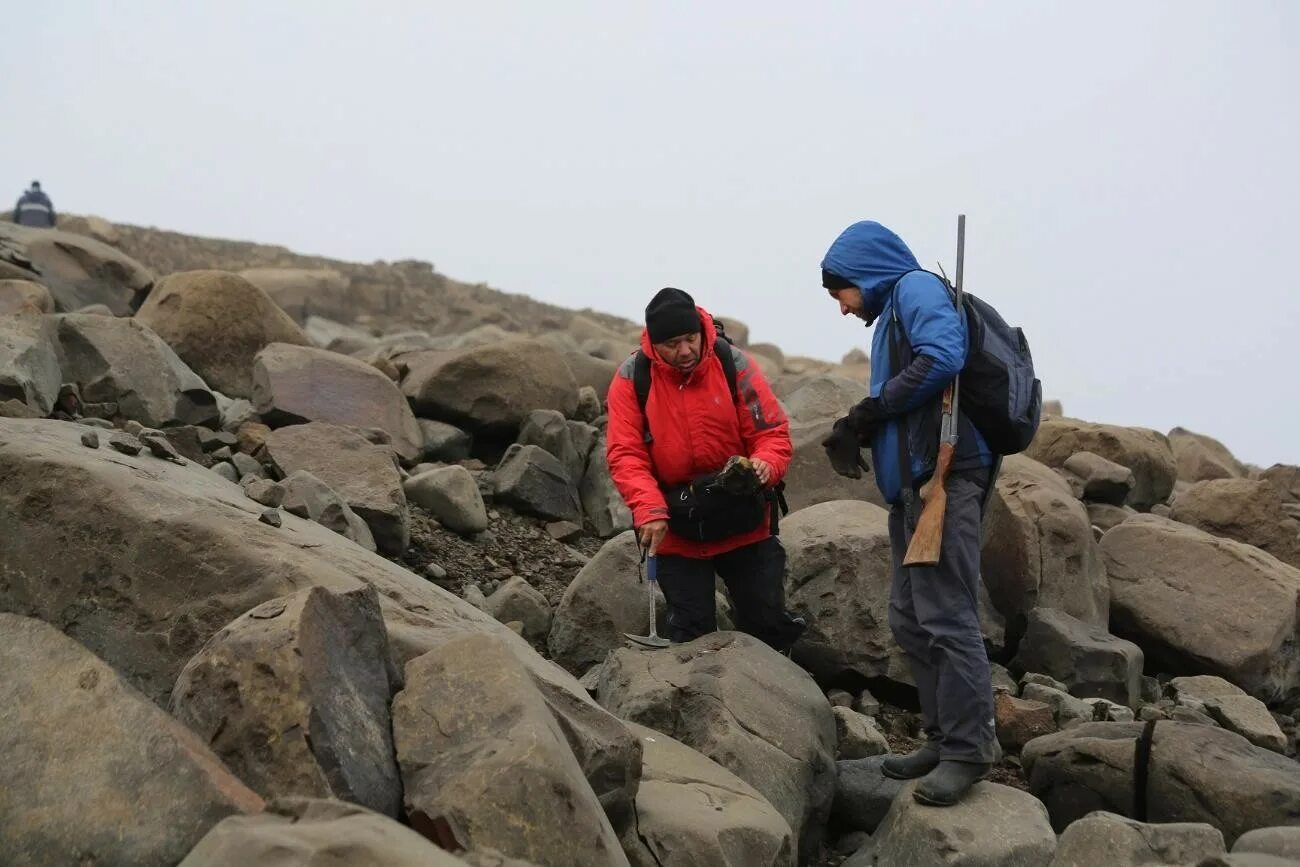 работа работы земля александры