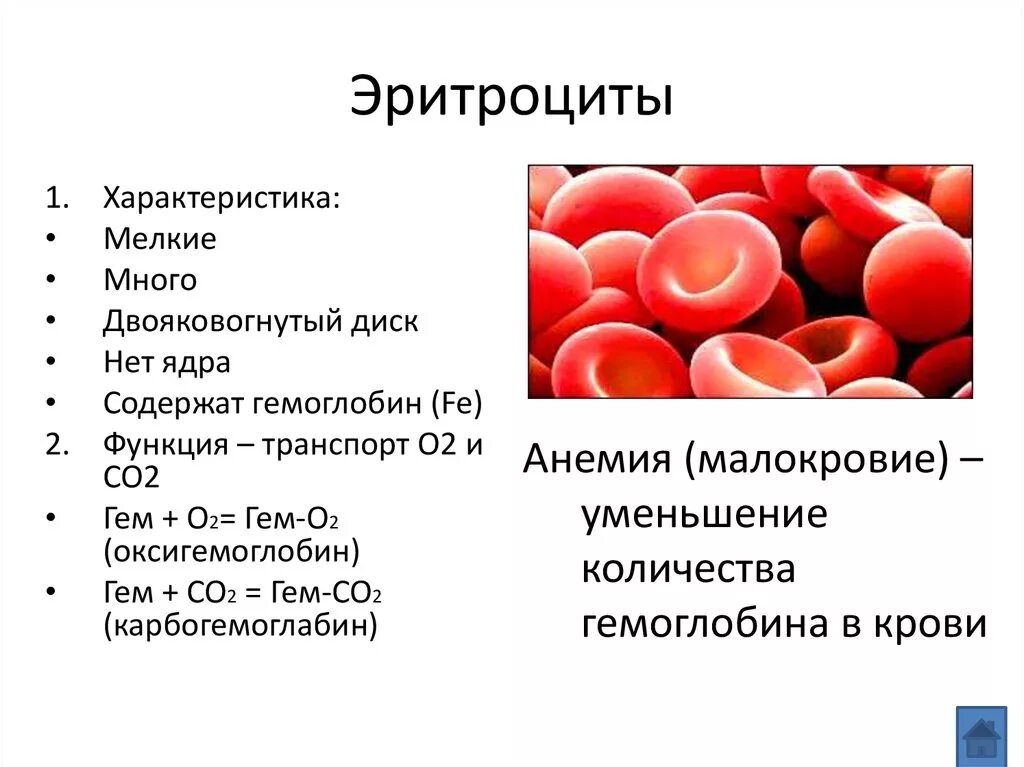 Эритроциты функция форма строение. Основные морфологические признаки эритроцитов. Эритроциты количество особенности строения функции. Строение, форма, функции и свойства эритроцитов..