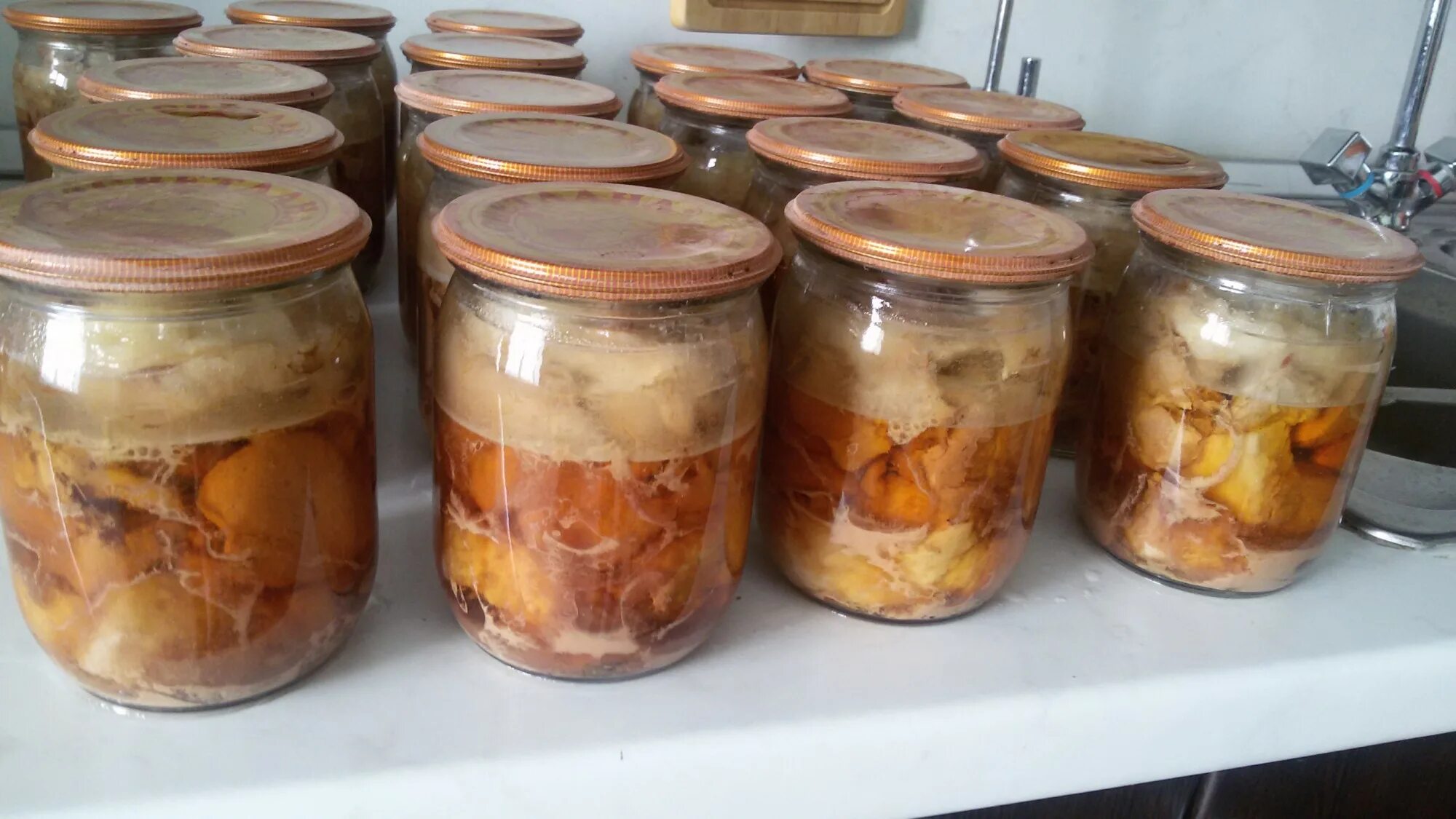 Мясо в банке на зиму