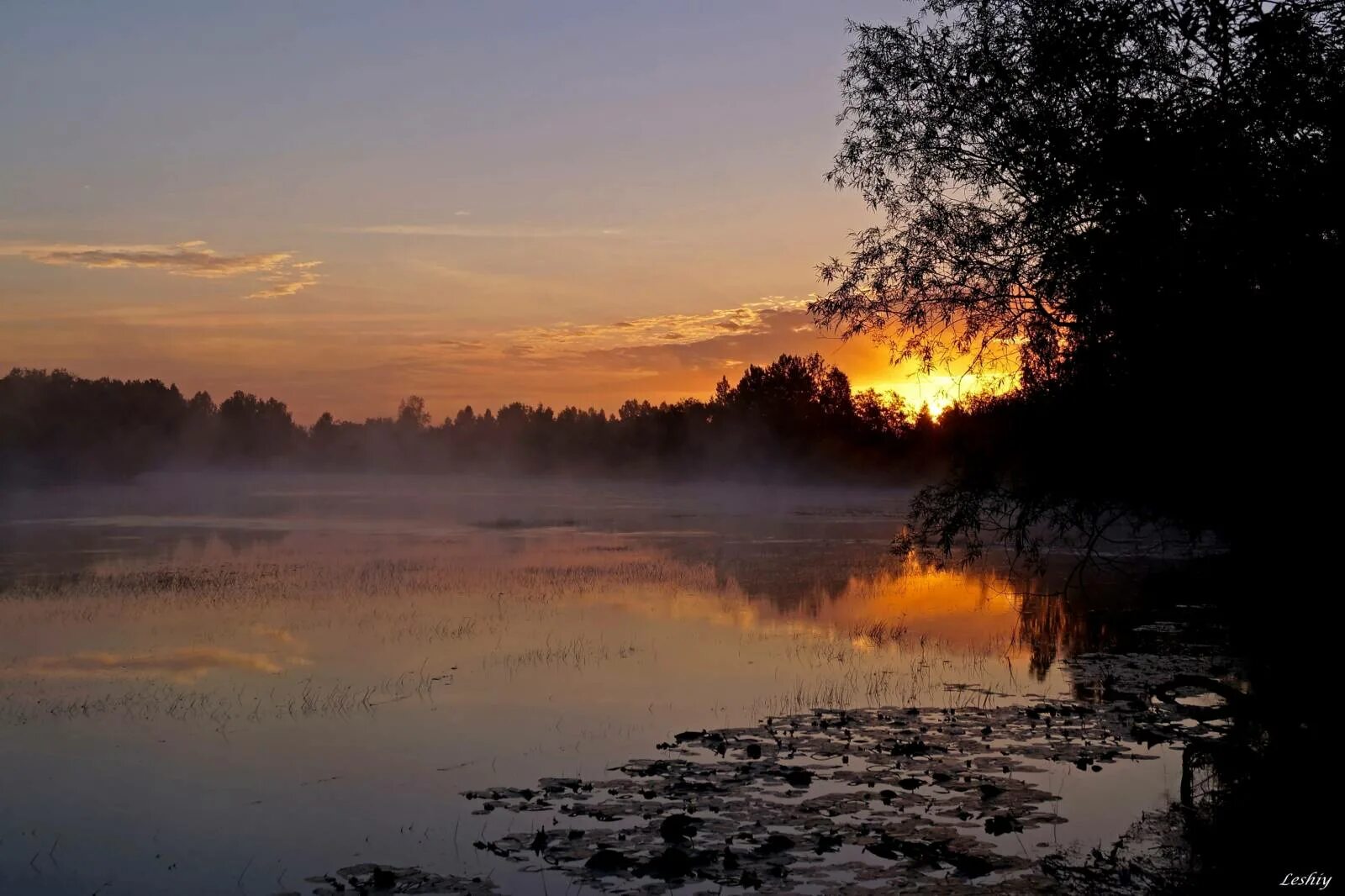 Зорьке под. Зорьке под. Утренняя зорька. Зорьке под. Зорька рассвет.