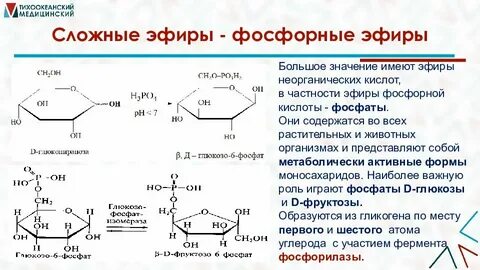 Эфиры углеводов