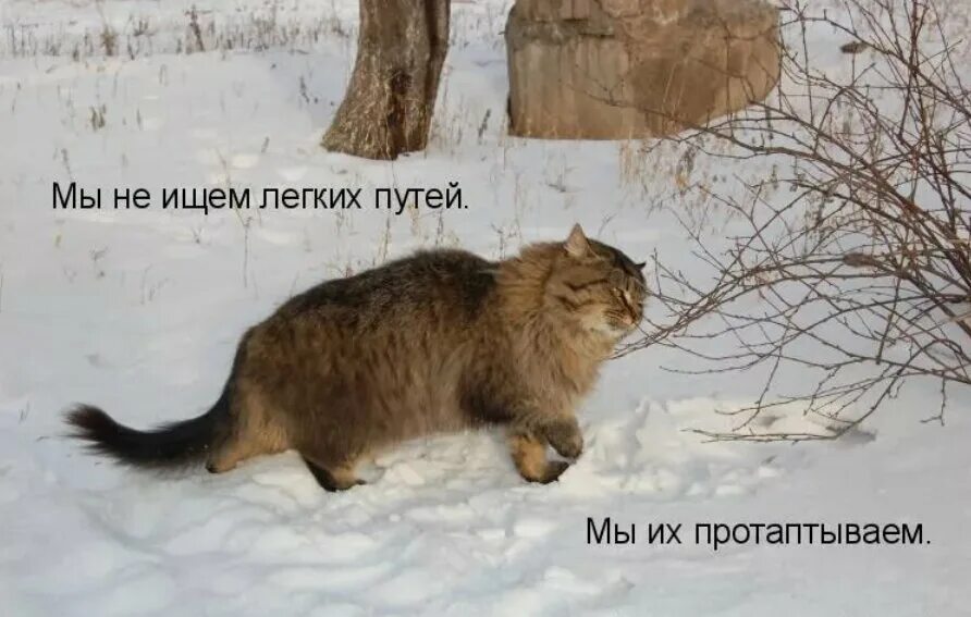 Не по пути все как то