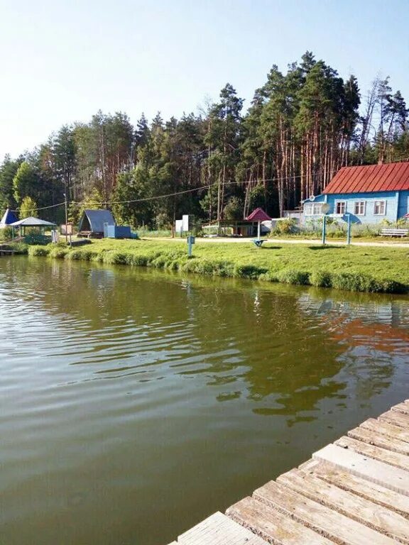 селькин пруд орловская область