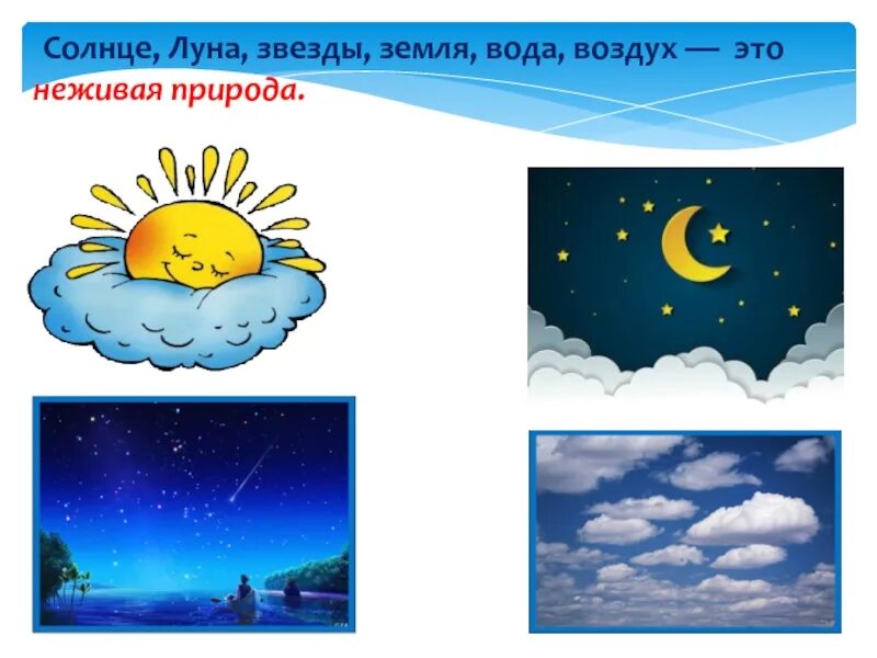 Зимние явления в живой природе. Явления живой природы 2 класс окружающий мир рабочая тетрадь. Задания по окружающему миру 2 класс явления природы. Объекты явления живой природы. Явления неживой природы явления живой природы 2 класс.