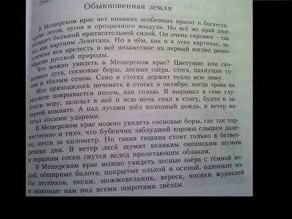 В мещерском крае нет никаких