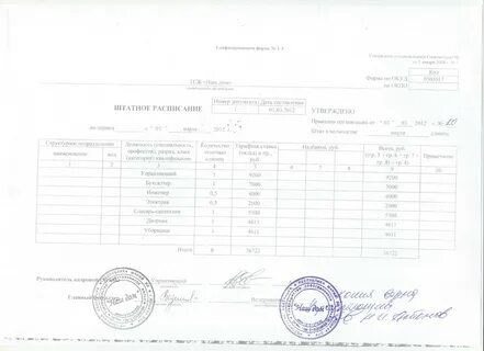 Штатный директор