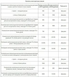 Сколько выплачивают за многодетную семью. Сколько выплачивают за многодетную семью