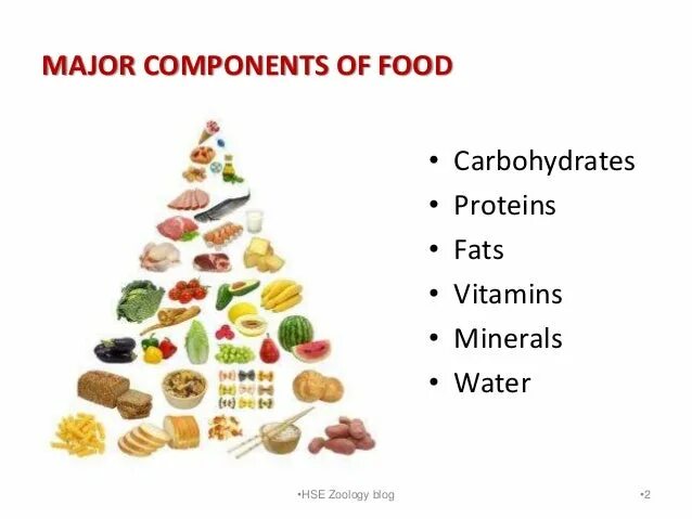 Protein minerals vitamins. Proteins fats carbohydrates. Белки жиры углеводы на английском. Proteins fats and carbohydrates схема. Proteins на английском.