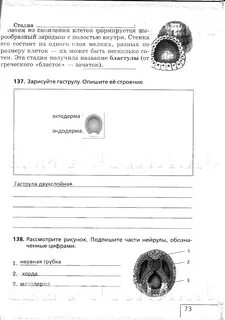 Биология 5 класс стр 73