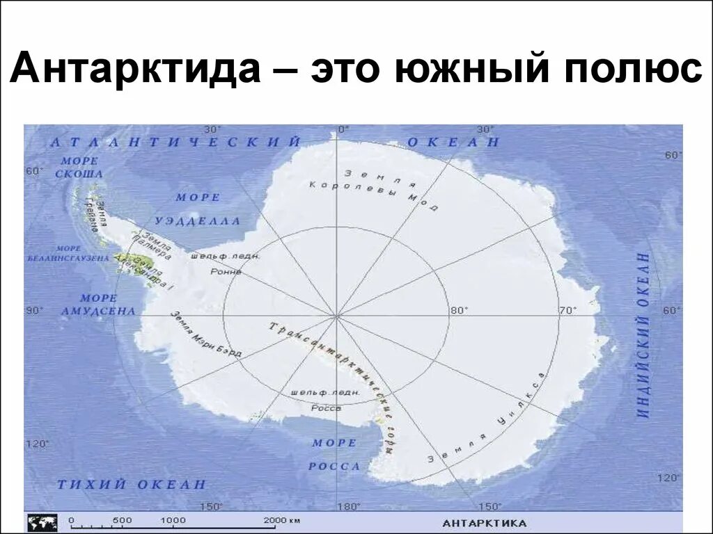 Название южного полюса