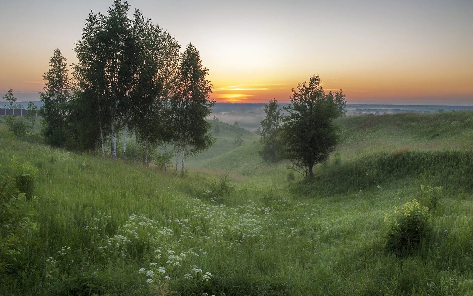 Холмы перелески луга. Пейзажи России. Среднерусская природа. Пейзажи среднерусской природы.