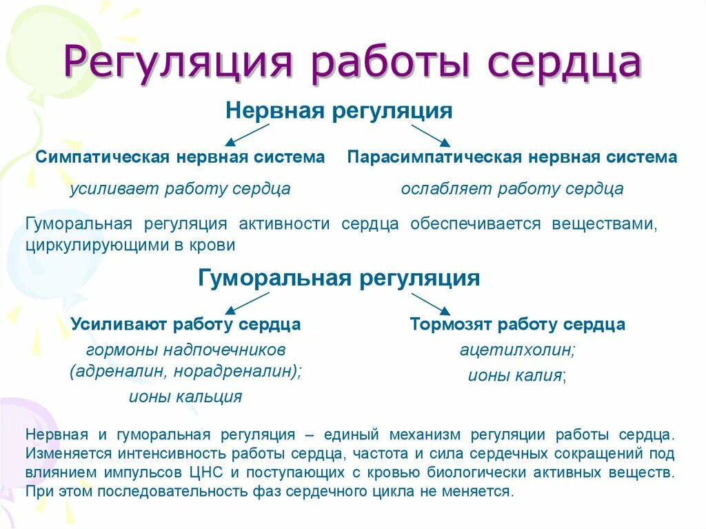 Гуморальная регуляция работы сердца человека. Нервно-гуморальная регуляция деятельности сердца. Регуляция работы сердца и кровеносных сосудов. Механизмы регуляции работы сердца. Гуморальные механизмы регуляции сердечной деятельности.