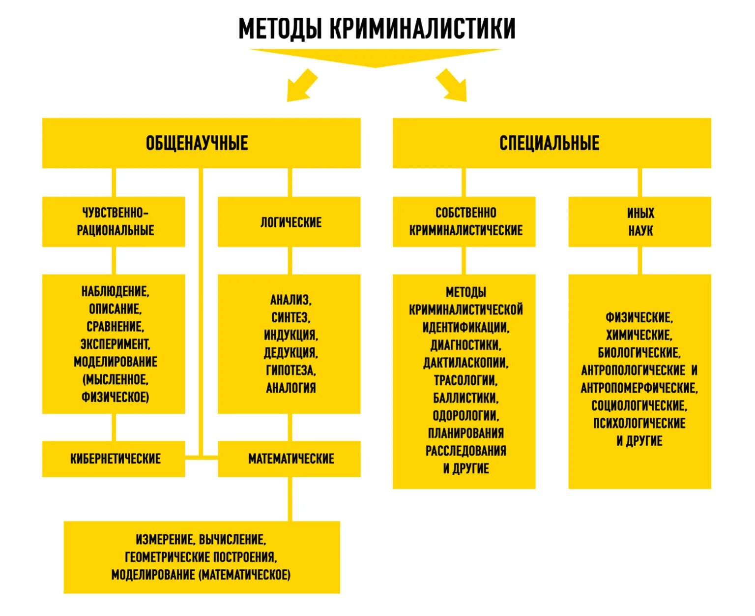 Группа общенаучных методов. Общенаучные и специальные методы криминалистики. Метод криминалистики. Система криминалистической методики. Криминалистические методы.