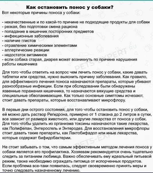 Понос народные средства быстро. Как Остановить понос. Как Остановить диарею в домашних. Понос у собаки лекарства. Как Остановить понос у взрослого.