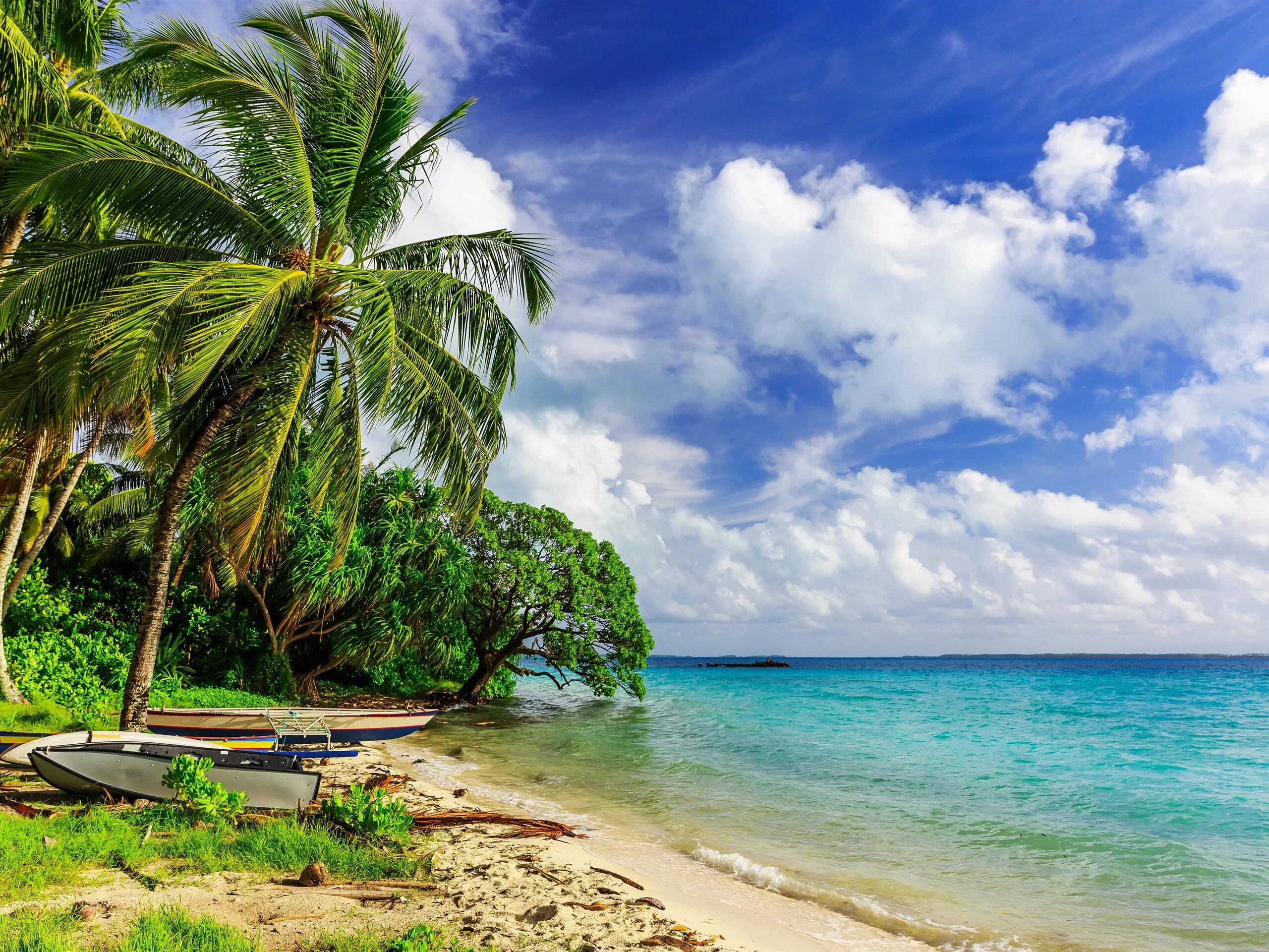 Парадиз остров Карибского моря. Море пляж пальмы. Тропики пляж. Тропическое море.